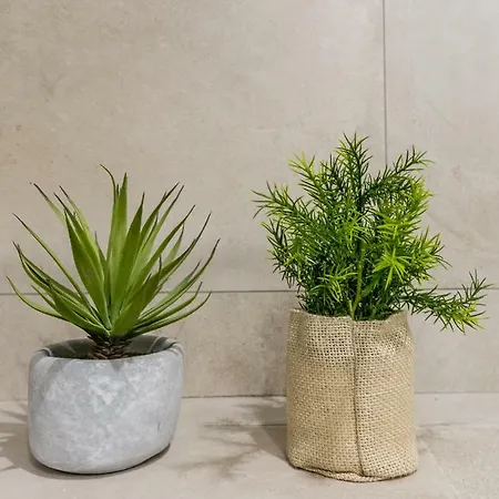 Edgar Louvre - Richelieu 2